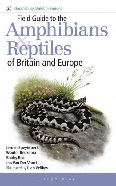 Field Guide to the Amphibians and Reptiles