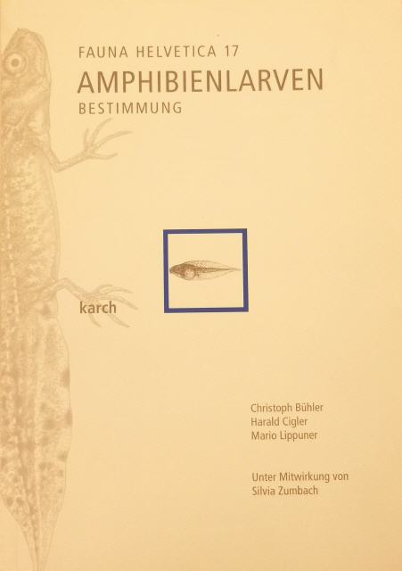 Amphibienlarven. Bestimmung.  Fauna Helvetica